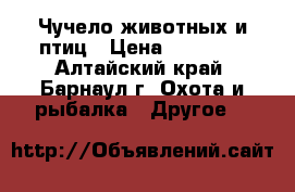 Чучело животных и птиц › Цена ­ 40 000 - Алтайский край, Барнаул г. Охота и рыбалка » Другое   